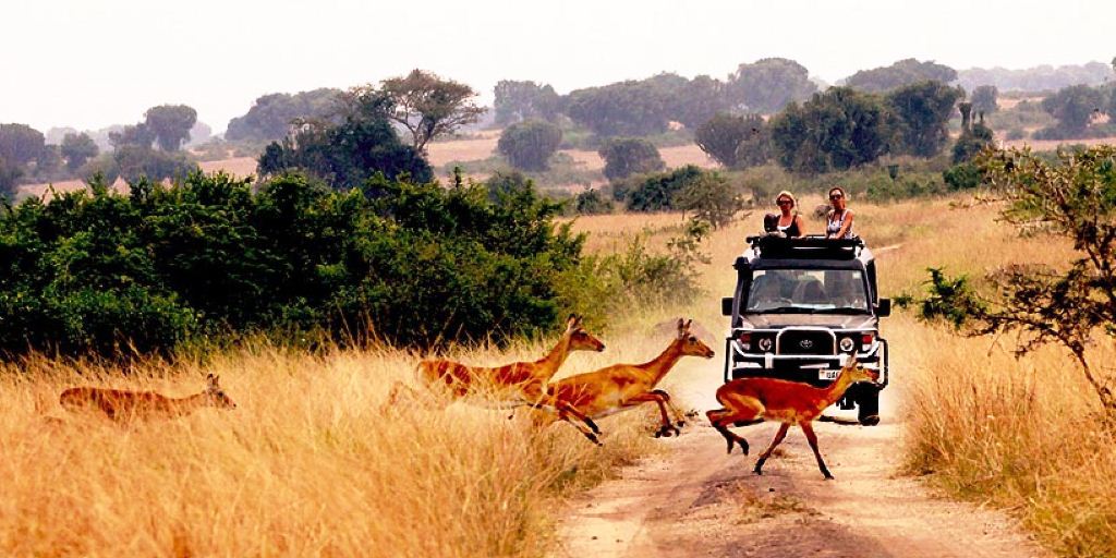 Maasai Mara